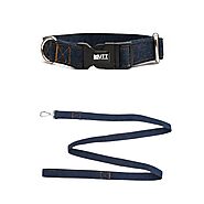 Dog Denim Collar and Leash Combo – Mutt of Course