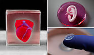 Proyectos de bioimpresión: órganos y tejidos impresos en 3D - 3Dnatives