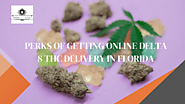 Delta 8 THC Delivery in FL: Why you should buy online - Nothing But Hemp