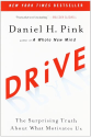 Drive: The Surprising Truth About What Motivates Us by Dan Pink
