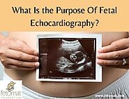 What Is the Purpose Of Fetal Echocardiography?