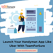 Launch Your Handyman App Like Uber With TeamForSure