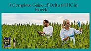 Delta 8 THC delivery in Tampa | Nothing But Hemp