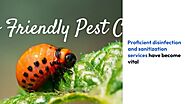 Pest Control Services Delhi —Importance of Disinfection and Sanitization services