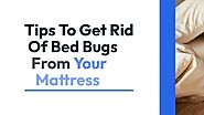 Tips To Get Rid Of Bed Bugs From Your Mattress