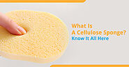 What Is A Cellulose Sponge? Know It All Here