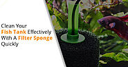 Clean Your Fish Tank Effectively With A Filter Sponge Quickly