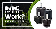 How Does A Sponge Filter Work? Know It All Here