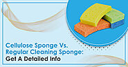 Cellulose Sponge Vs. Regular Cleaning Sponge: Get Detailed Info