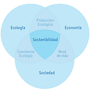 El disseny ètic i sostenible – Caty Riutort