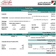 Trade License Dubai | Trade License Renewal Dubai