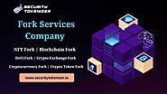 Blockchain Fork Services Company | Grab the Black Friday Offer - Security Tokenizer