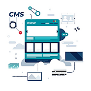 Best cms for website development