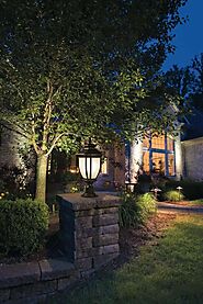 Michigan's Leading Landscape Lighting Experts- Illuminated Gardens