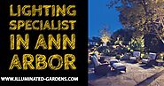 Designer Landscape Lighting in Ann Arbor, Michigan - Illuminated Gardens