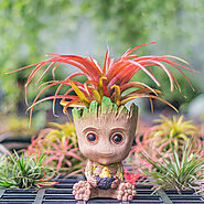 Baby Groot Flower Pot Planter Action Figures Cute PVC Model Toy Pen Po – gorgeoushomegarden