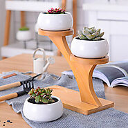 Ceramic Succulent Plant Flower Pot Planter Holder Bamboo Shelf Desktop – gorgeoushomegarden