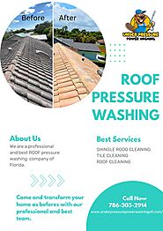 Roof pressure washing