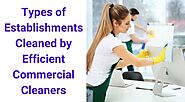 Types of Establishments Cleaned by Efficient Commercial Cleaners