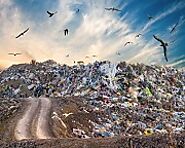 Adelaide Rubbish Removal and Industrial Bin Services Which are The Best from Efficiency, Safety, and Sustainability P...