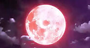 The Pink Moon