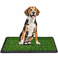 Pet Puppy Potty Training Pad Artificial Grass Mat Outdoor Indoor - Viideals