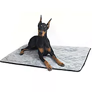 Dog Crate Kennel Mat Travel Bed Durable Waterproof Soft Foam Padding - Viideals