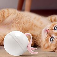 Interactive Cat Ball Toy Electric With Tail And LED Lights Pet Exercise - Viideals