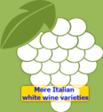 Arneis, a new white wine for Australia
