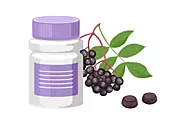 Elderberry Benefits and Most Effective Way to Take It | Sreeja Jude