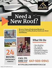 Roofers in Brampton in 2023 | Roofer, Brampton, Leak repair