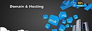 Secure Domain Hosting Services Domain Included