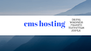 CMS Web Hosting Services Domain Names Included