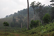 Khao Lak Lam Ru National Park & Rainforest