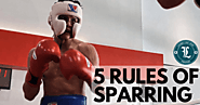 5 Rules of Sparring | Blog | Legends Fight Sport