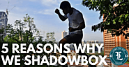 5 Reasons Why We Shadowbox | Blog | Legends Fight Sport