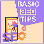 BASIC SEO TIPS For Websites And Blogs: Naira Infotech