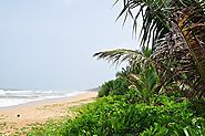 Bentota Beach