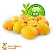 Mangoes Mumbai discount codes 2022
