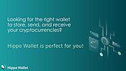 Introducing: Hippo Wallet, the Safest Non-custodial Wallet