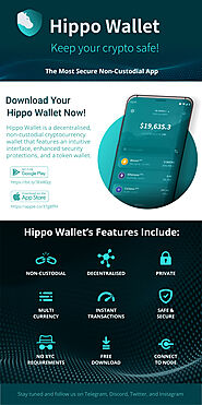 Hippo Wallet—The Most Secure Non-custodial App