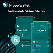 Read Hippo Wallet’s Privacy Policy Now