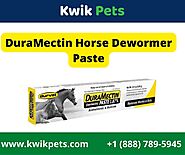 DuraMectin Horse Dewormer Paste - Kwikpets