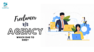 Freelancer vs Agency Developer: Which One To Hire?