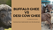 Desi A2 Cow Ghee vs Buffalo Ghee. Which is healthier for you? - HOUS OF LIFE