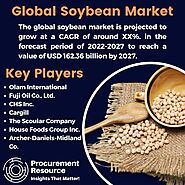 Global Soybean Industry Report