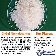 Global Phenol Industry Report