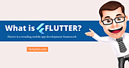 What is Flutter Software and What Is It and Does It Work?