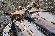 Recreational Fishing in Alaska | Alaska Fisheries