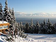 Grouse Mountain